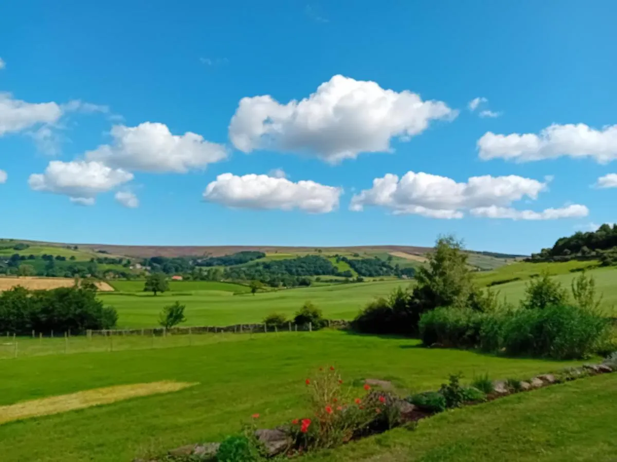Coombs Glamping Pods Hotel Danby Campsite